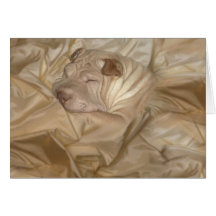 Chinese Shar Pei getarnt in den Falten Karten