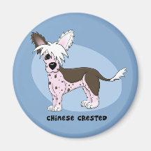 Chinesischer Magnet mit Haube Magnete