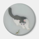Chinesisches Silk Katzen-Bild Kühlschrankmagnete