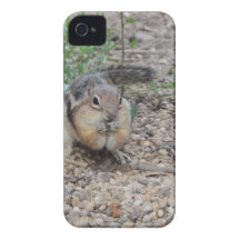 Chipmunk, der auf dem Boden füttert iPhone 4 Etuis