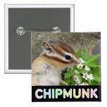 Chipmunk photo　(30) 缶バッジピンバック