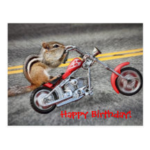 Chipmunk-Radfahrer, der ein Motorrad reitet Postkarten