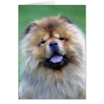 Chow-Chow Chow-Chow Mitteilungskarten