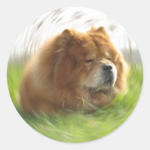 Chow-Chow Hund Runder Aufkleber