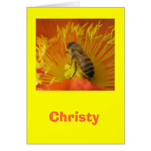 Christy Grußkarten