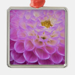 Chrysantheme-Blume, die herein ernsten Standort ve Weihnachtsbaum Ornament