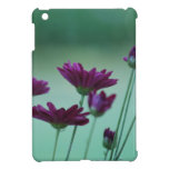 Chrysantheme und Bedeutung