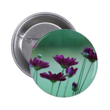 Chrysantheme und Bedeutung Anstecknadel