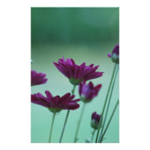 Chrysantheme und Bedeutung Personalisierte Büropapiere