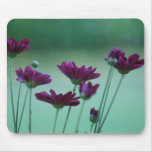 Chrysantheme und Bedeutung Mauspad