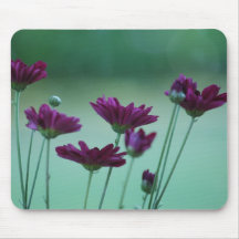 Chrysantheme und Bedeutung Mauspad