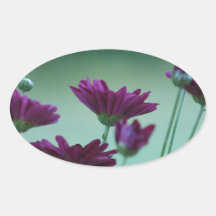 Chrysantheme und Bedeutung Ovale Aufkleber