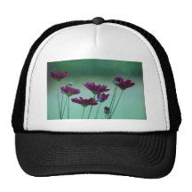 Chrysantheme und Bedeutung Retrokult Cap
