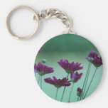 Chrysantheme und Bedeutung Schlüsselband