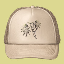 Chrysanthemen kappen