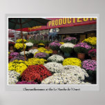 Chrysanthemen bei Le Marché de l'Ouest Plakat