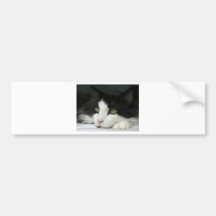 CIMG1013.JPG AUTO STICKER
