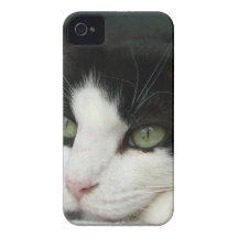 CIMG1013.JPG iPhone 4 COVER