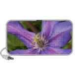 Clematis-Gekritzel-Lautsprecher
