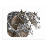 Clydesdale Entwurfs-Pferdeteam Postkarte
