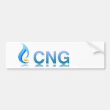 CNG komprimierter Erdgas-Fahrzeug-Aufkleber Auto Sticker