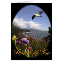 Coastal Cosmos Card