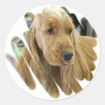 Cocker spaniel-Hündchen-Aufkleber