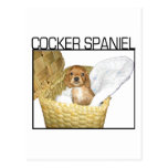 Cocker spaniel-Welpe! Postkarte