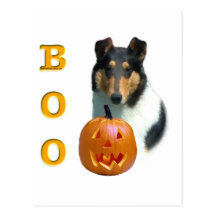 Collie(glatter) Boo Postkarten