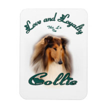 Collie-Liebe und Loyalität Eckiger Magnet