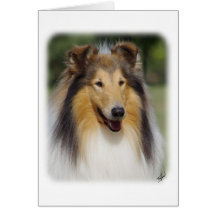 Collie Roiugh AA011D-031 Karte
