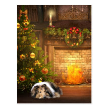 Collie-Weihnachten Postkarten