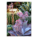 Colorful Succulent Garden Card