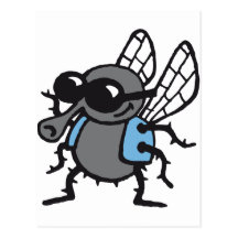 cool fly 3c white postkarte