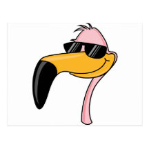 Cooler Flamingo Postkarten