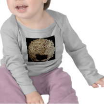 Coppertop Shirts