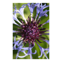 Cornflower Individuelle Druckpapiere
