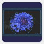 Cornflower Square Sticker