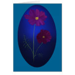 Cosmea4 Grußkarten
