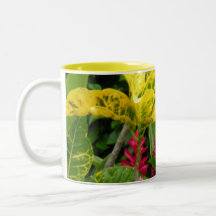Costa Rica Ingwer Teetasse