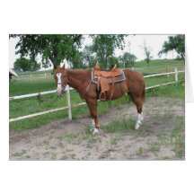 Cowboy cool karte