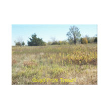 Cowgirl Prarie Dreemin!! Gespannte Galeriedrucke