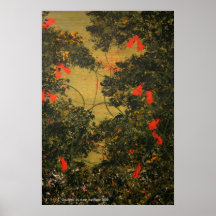 "Cowlilies " Plakat