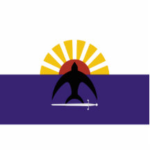 Cozumel, Flagge Quintana Roo, Mexiko, Mexiko Fotoskulptur