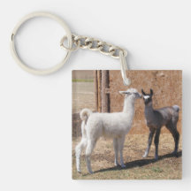 Cria Curiosity Square Acrylic Keychain