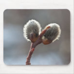 CTW Catkin-Zwillinge Mousepad