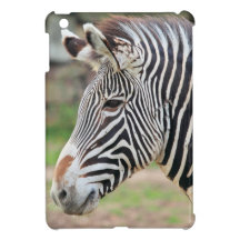 Customize Product iPad Mini Cases