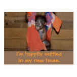 Cute New Home Address Change postkarten