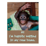Cute New Home Change of Address Postcard