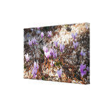 Cyclamen eingewickelte Leinwand Galerie Faltleinwand